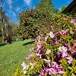 La Casa Del Arbol Villarrica Cabanas-Piscina-Tinajas