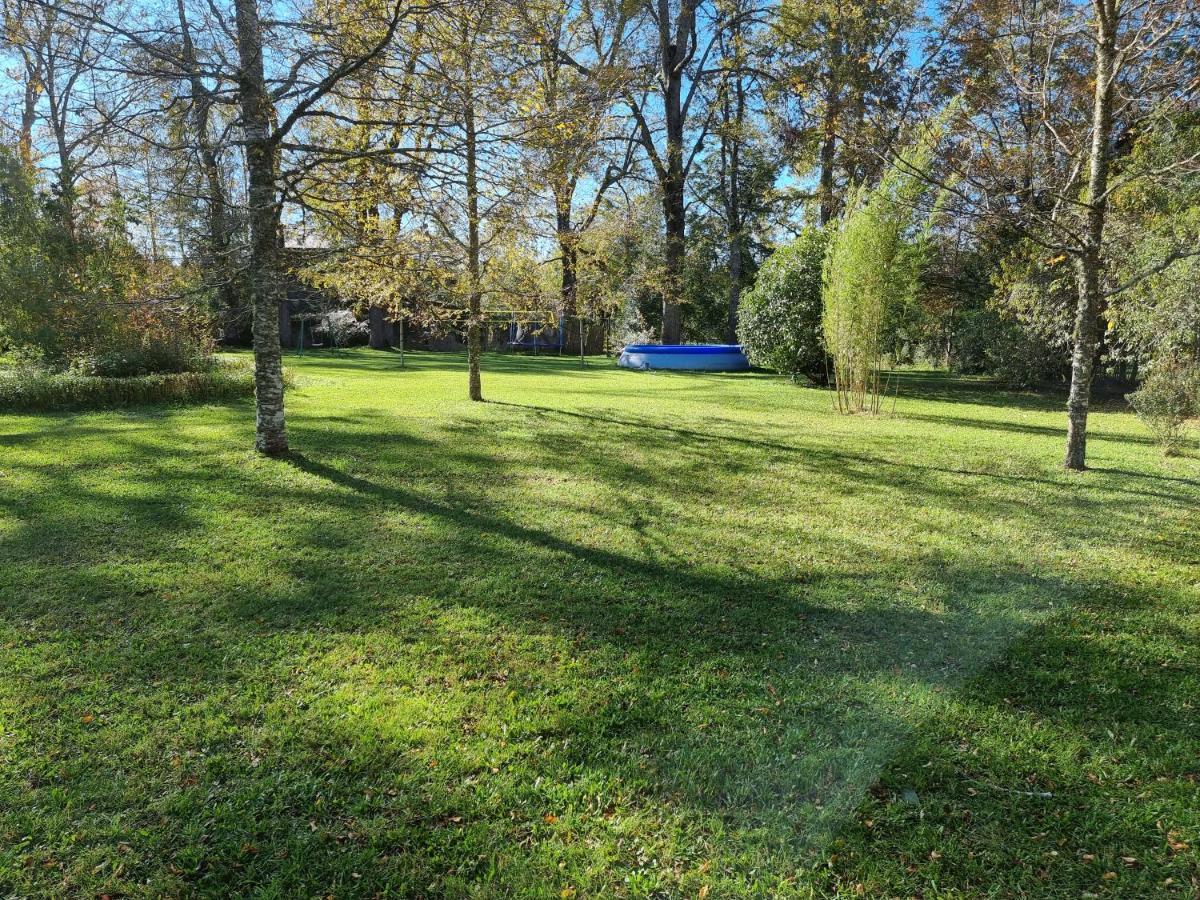 La Casa Del Arbol Cabanas-piscina-tinajas Casa de férias Villarrica