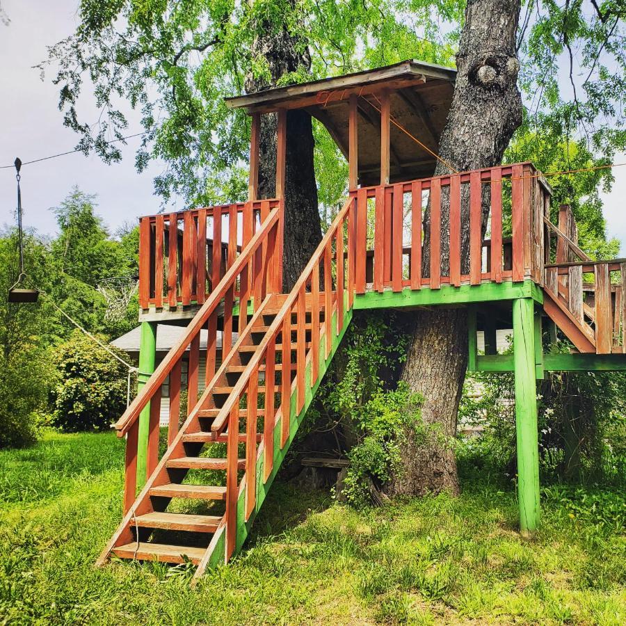 Casa de férias La Casa Del Arbol Cabanas-piscina-tinajas *