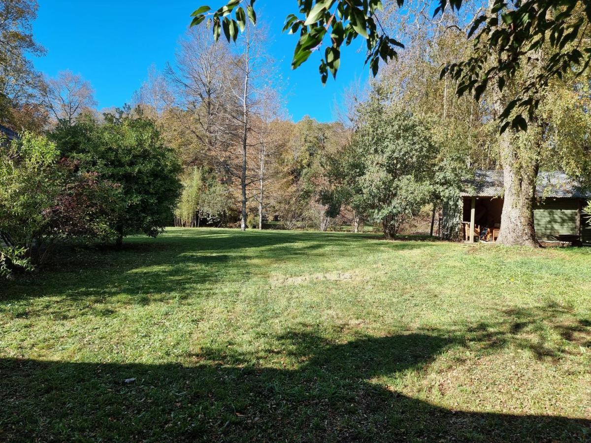 La Casa Del Arbol Cabanas-piscina-tinajas * Villarrica