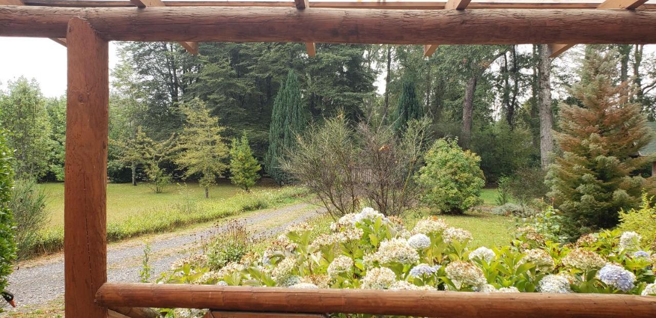 La Casa Del Arbol Cabanas-piscina-tinajas * Villarrica