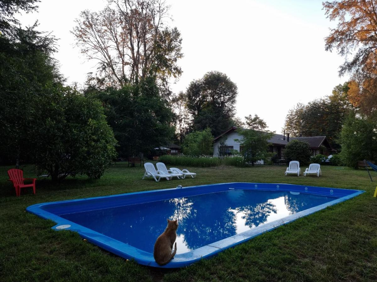La Casa Del Arbol Cabanas-piscina-tinajas Villarrica